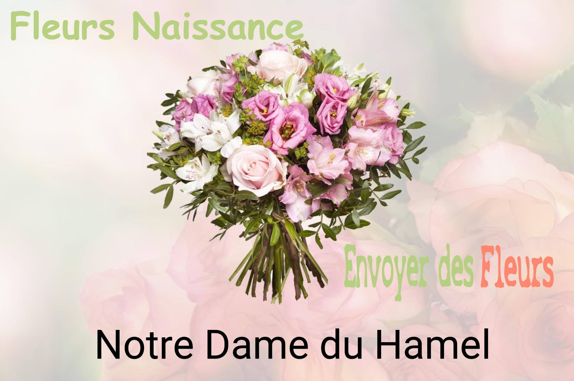 Bouquet de fleurs de naissance livré à Notre-Dame-du-Hamel